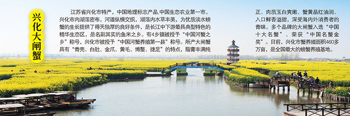 興化大閘蟹海報設計