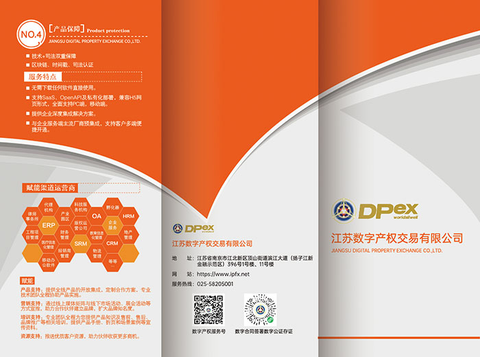 江蘇數(shù)字產(chǎn)權(quán)交易有限公司三折頁設(shè)計(jì) 江蘇數(shù)字產(chǎn)權(quán)交易有限公司三折頁設(shè)計(jì)
