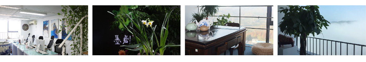 南京特色廣告公司,文化創(chuàng)意公司氛圍,禪意文化氛圍