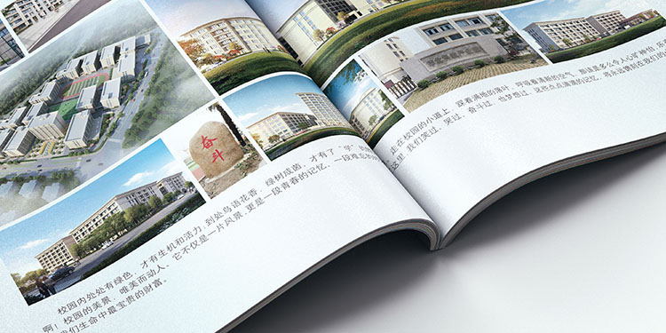 招生單頁,招生簡章,學(xué)校招生,招生彩頁